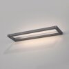 Puro Applique murale Luminaires Paul Neuhaus LED Gris, 1 lumière