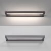 Puro Applique murale Luminaires Paul Neuhaus LED Gris, 1 lumière