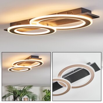 Lidor Plafonnier LED Noir, 1 lumière Lidor Plafonnier LED Noir, 1 lumière
