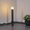 Borne lumineuse Buhrkall Anthracite, 1 lumière