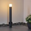 Borne lumineuse Buhrkall Anthracite, 1 lumière