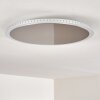 Plafonnier Aitrach LED Argenté, Blanc, 1 lumière